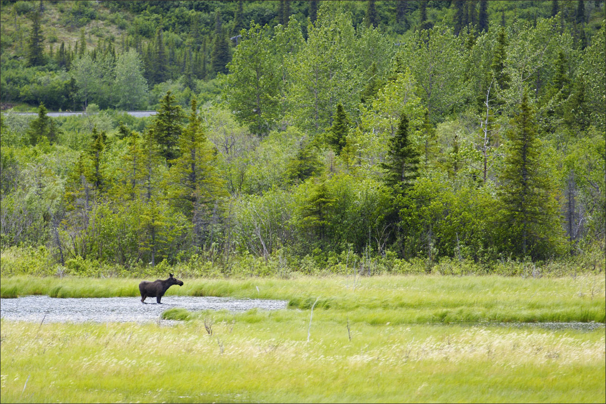 alaska