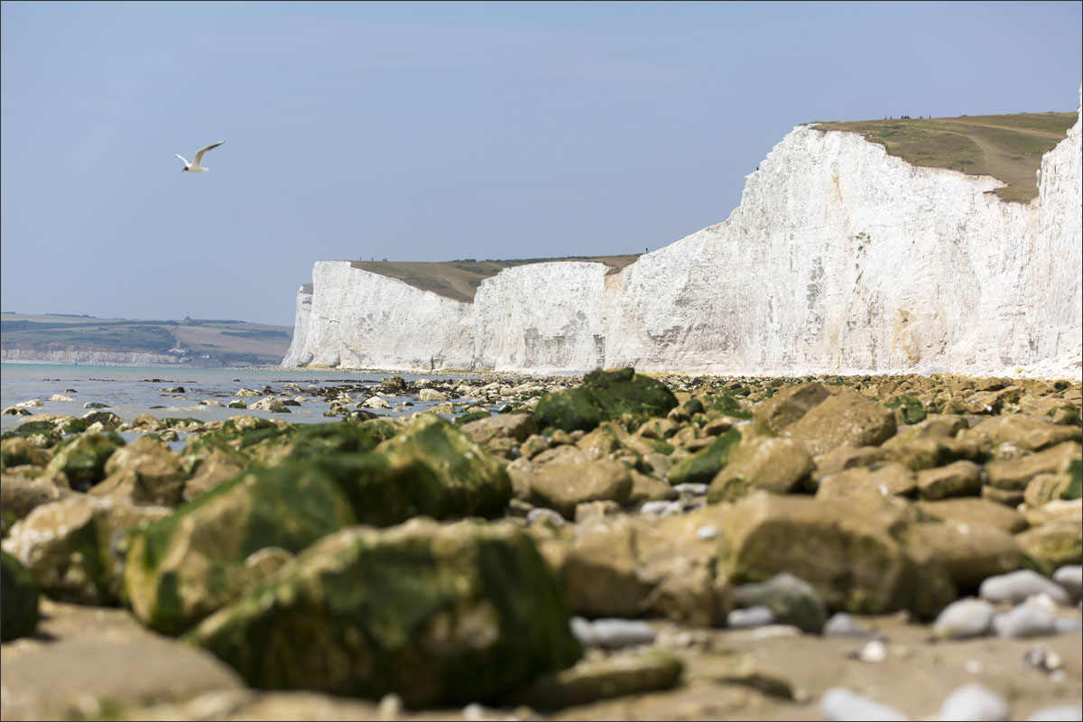 sevensisters