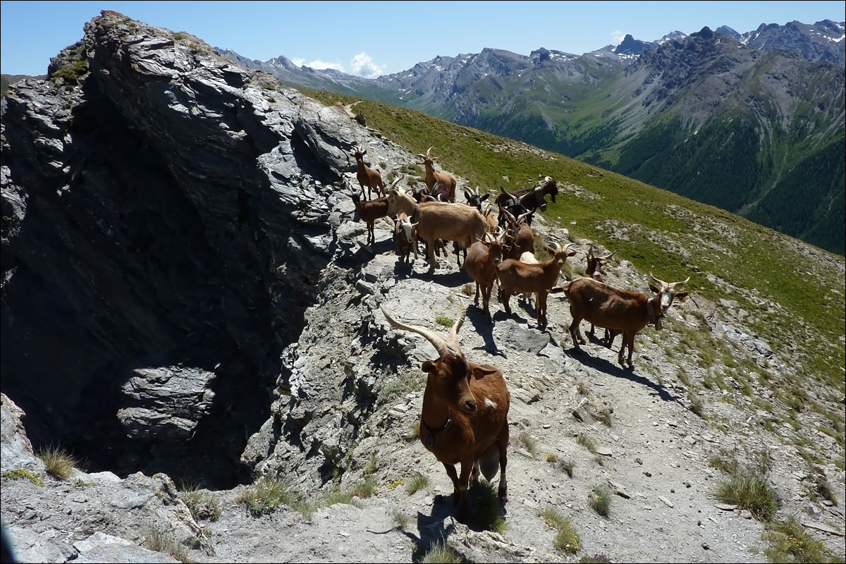 franse alpen