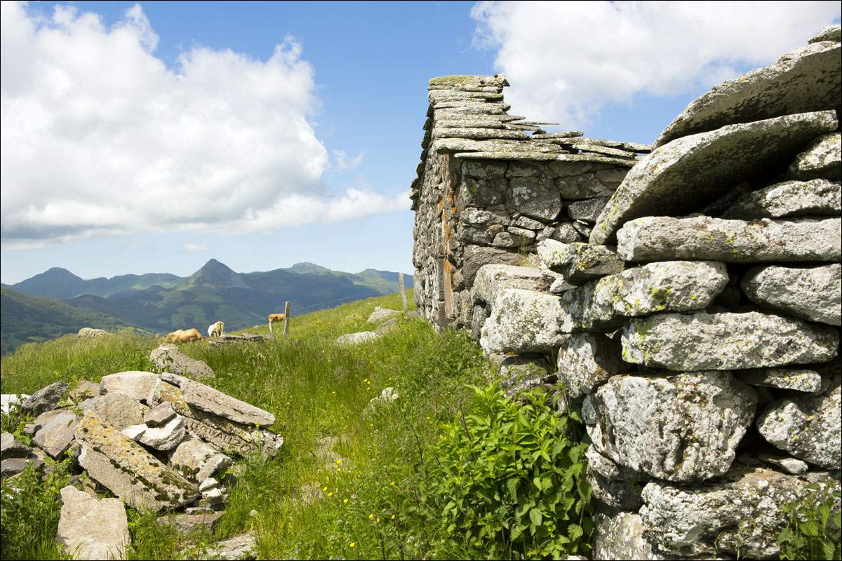 auvergne