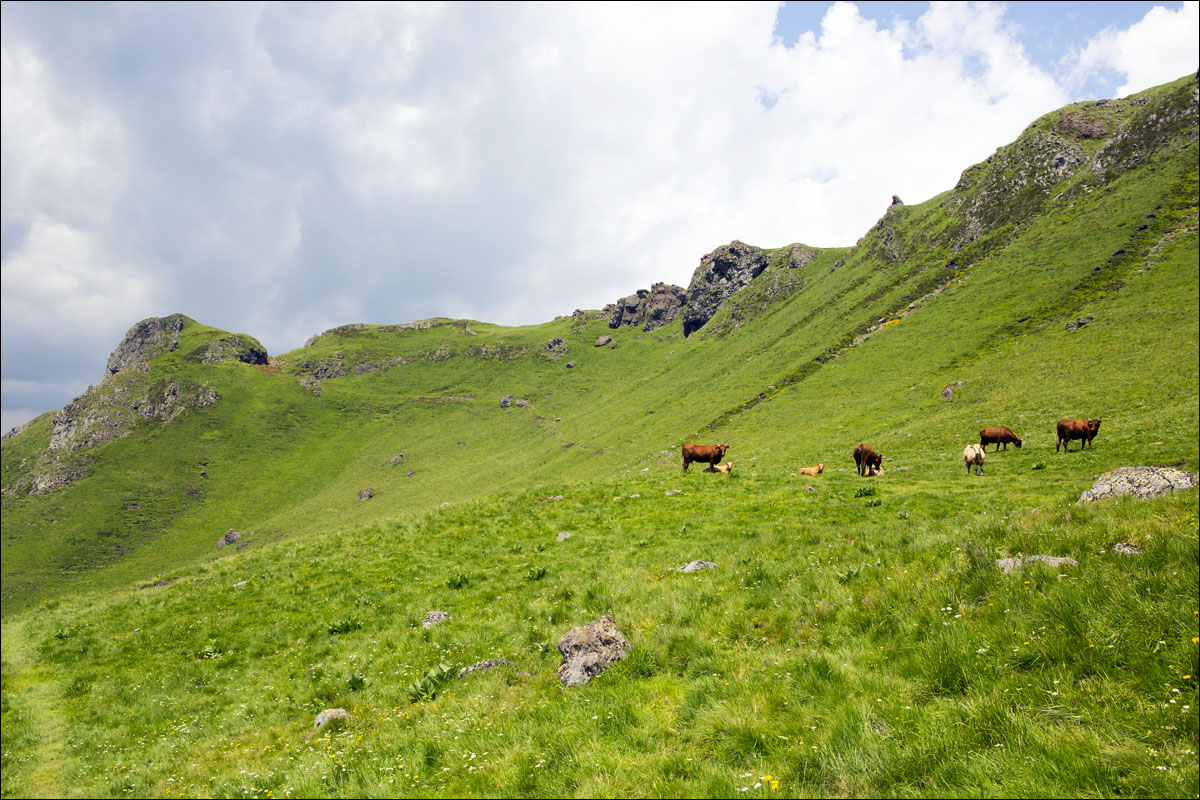 auvergne