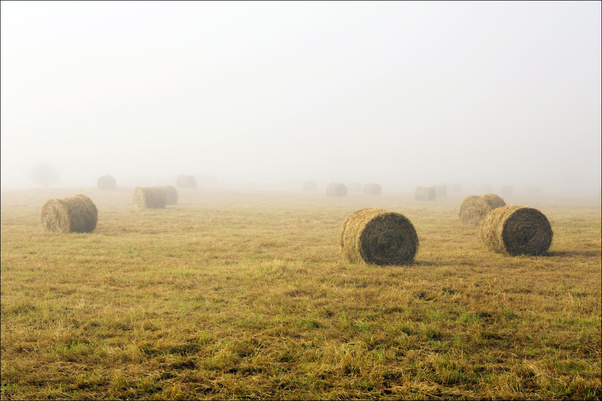 auvergne