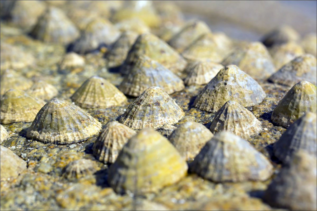 bretagne