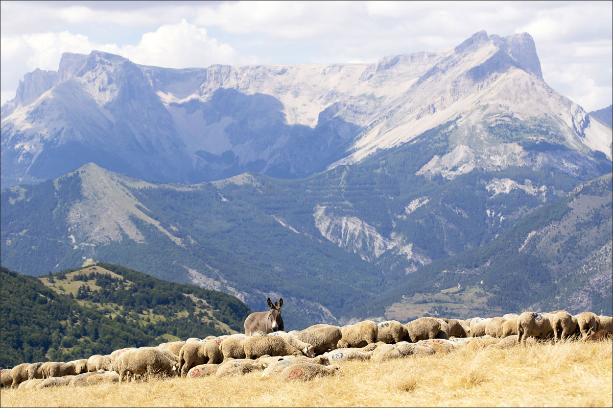 hautes-alpes