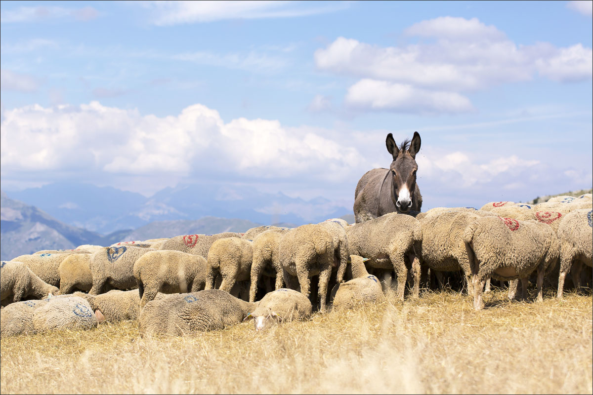 hautes-alpes