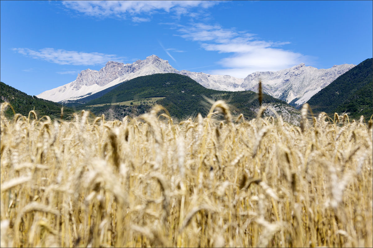 hautes-alpes