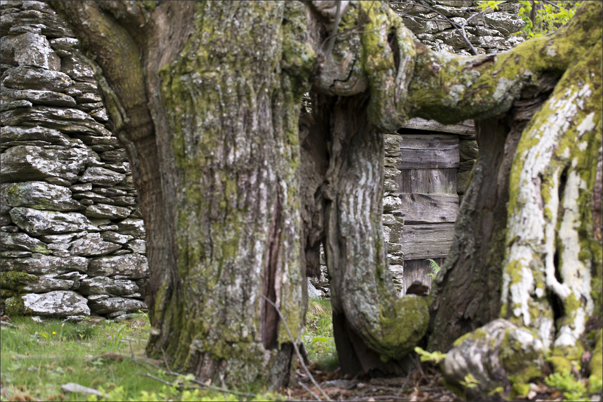 lozere cevennen