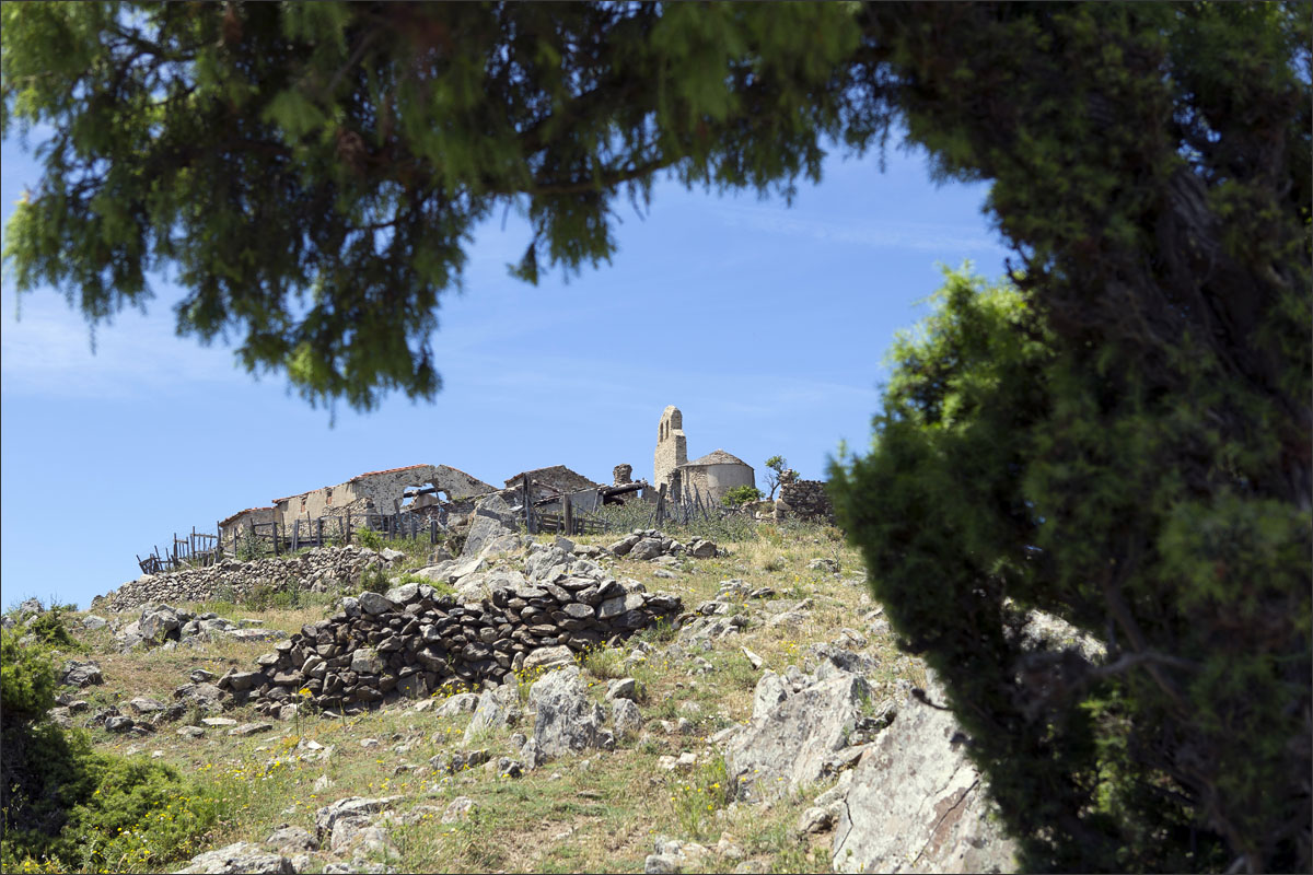 franse pyreneeen