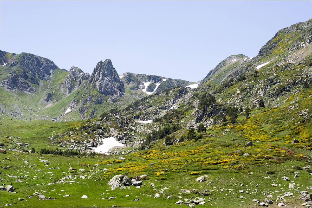 franse pyreneeen