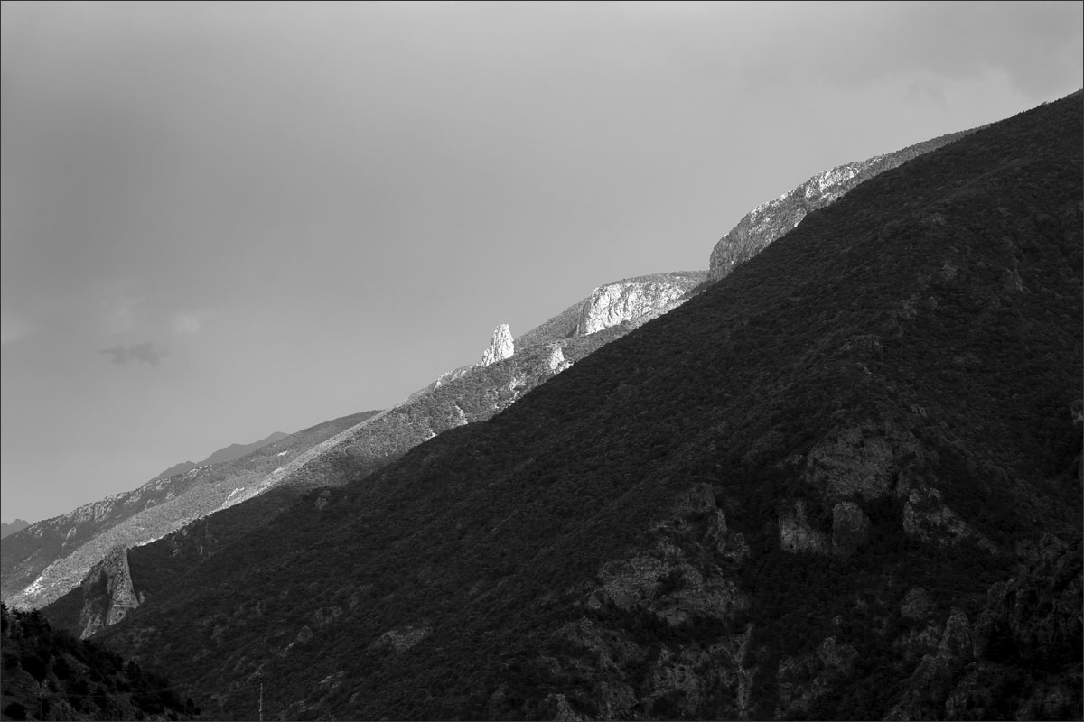 franse pyreneeen