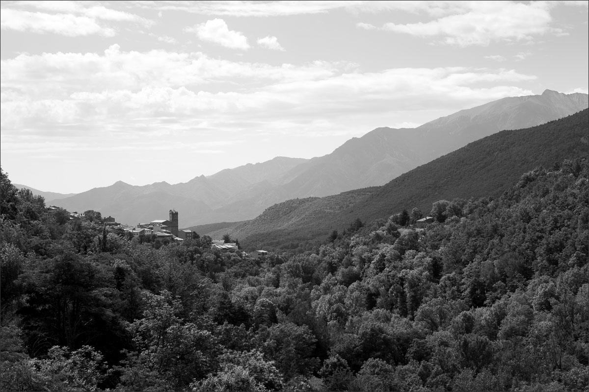 franse pyreneeen