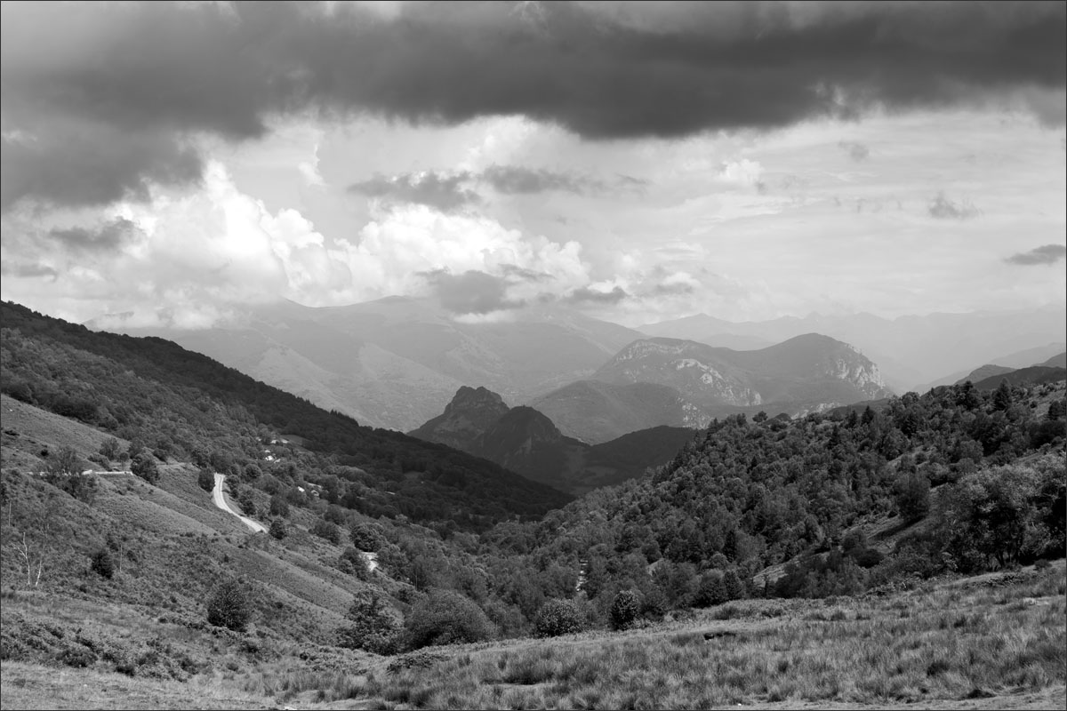 franse pyreneeen