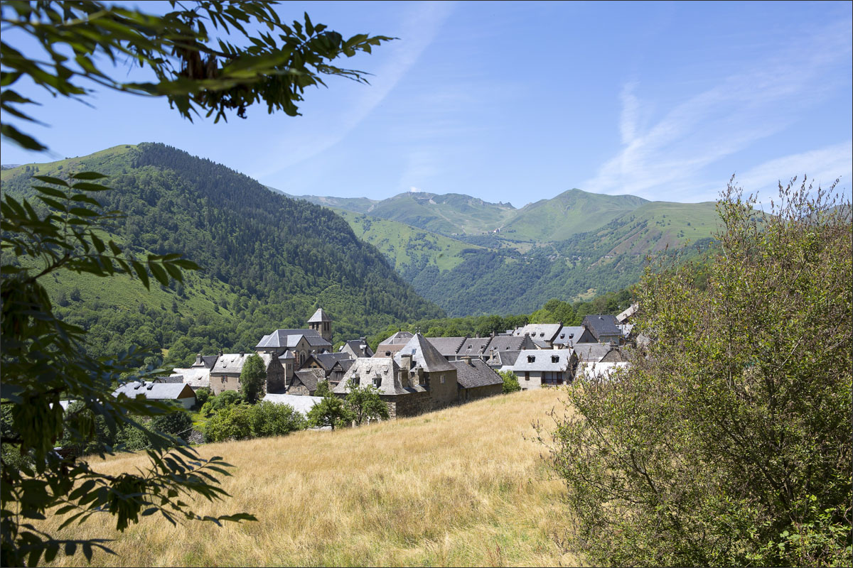 franse pyreneeen