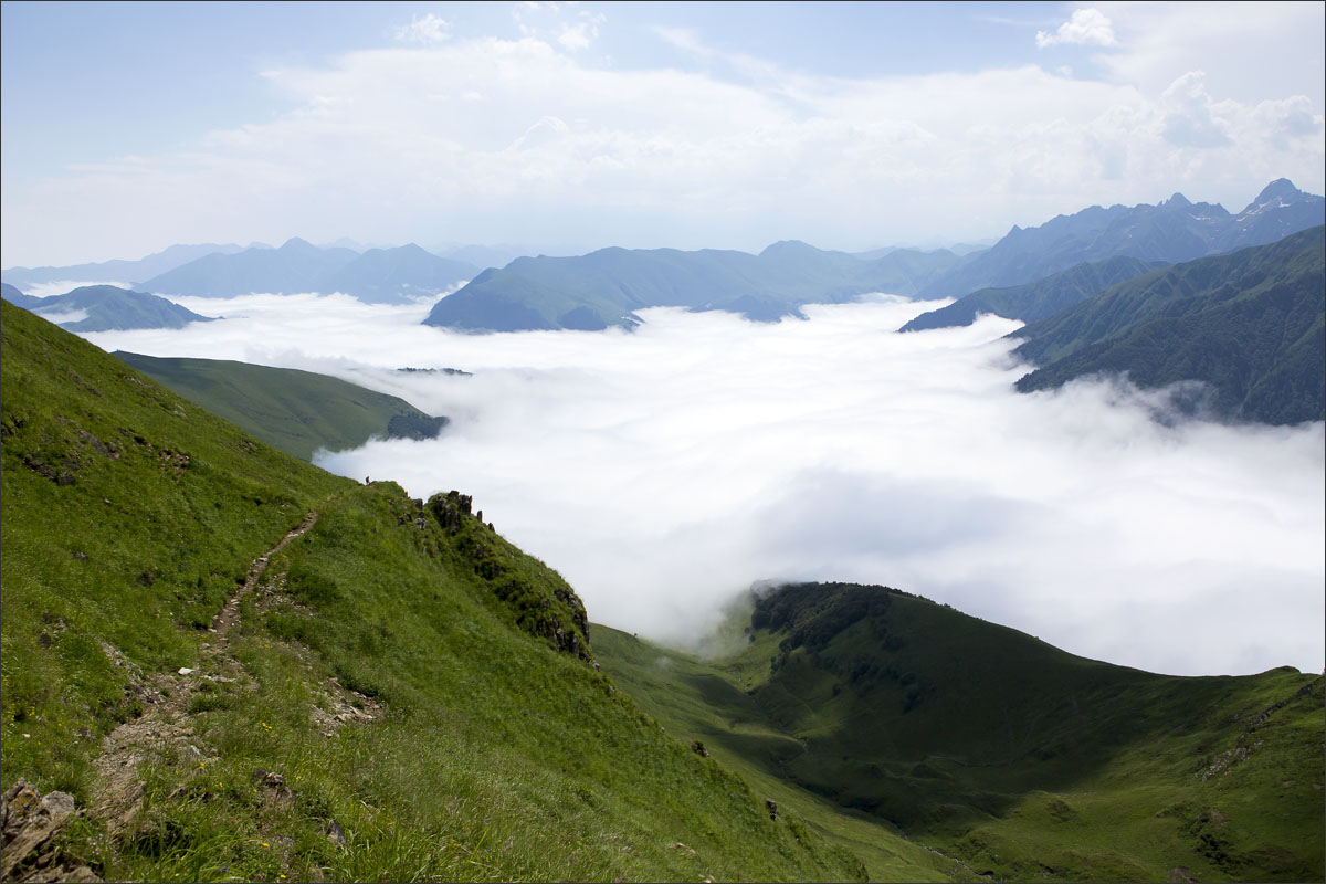 franse pyreneeen