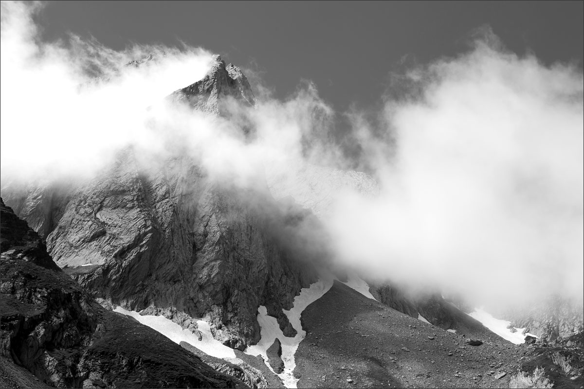 franse pyreneeen