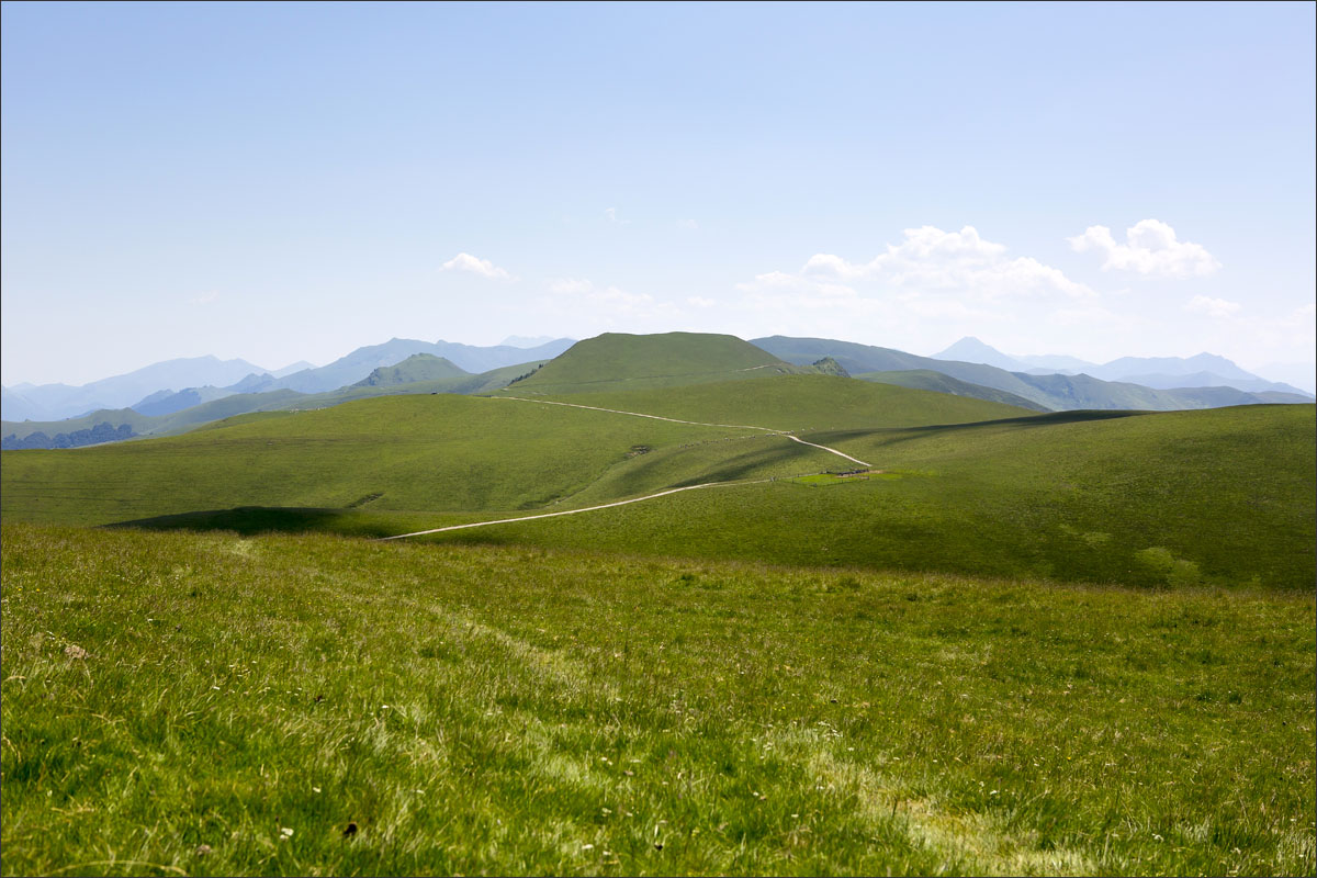 franse pyreneeen