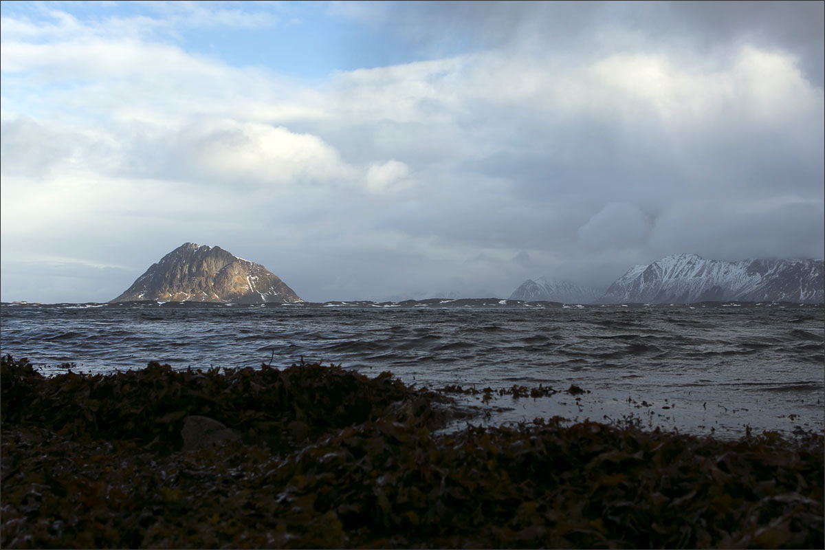 lofoten