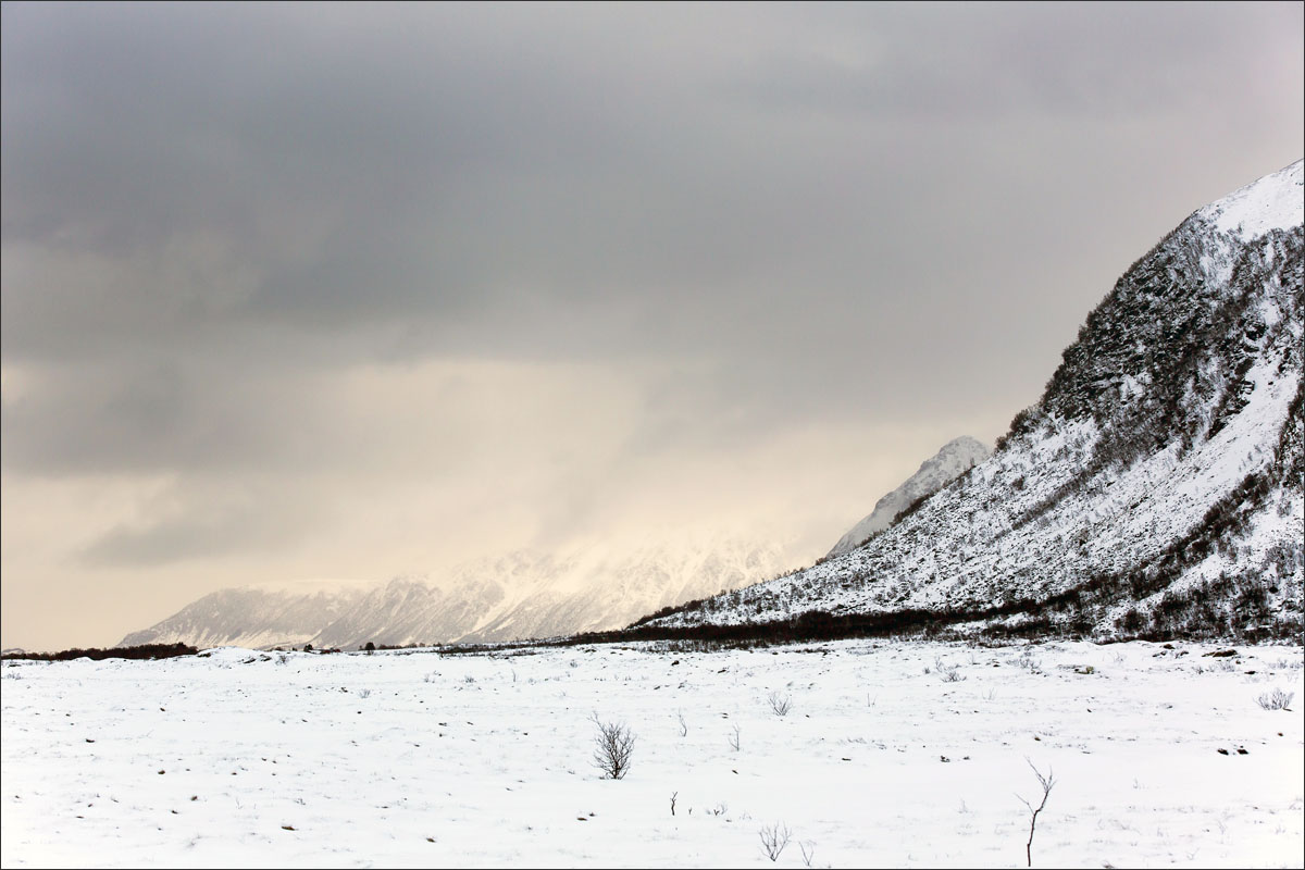 lofoten