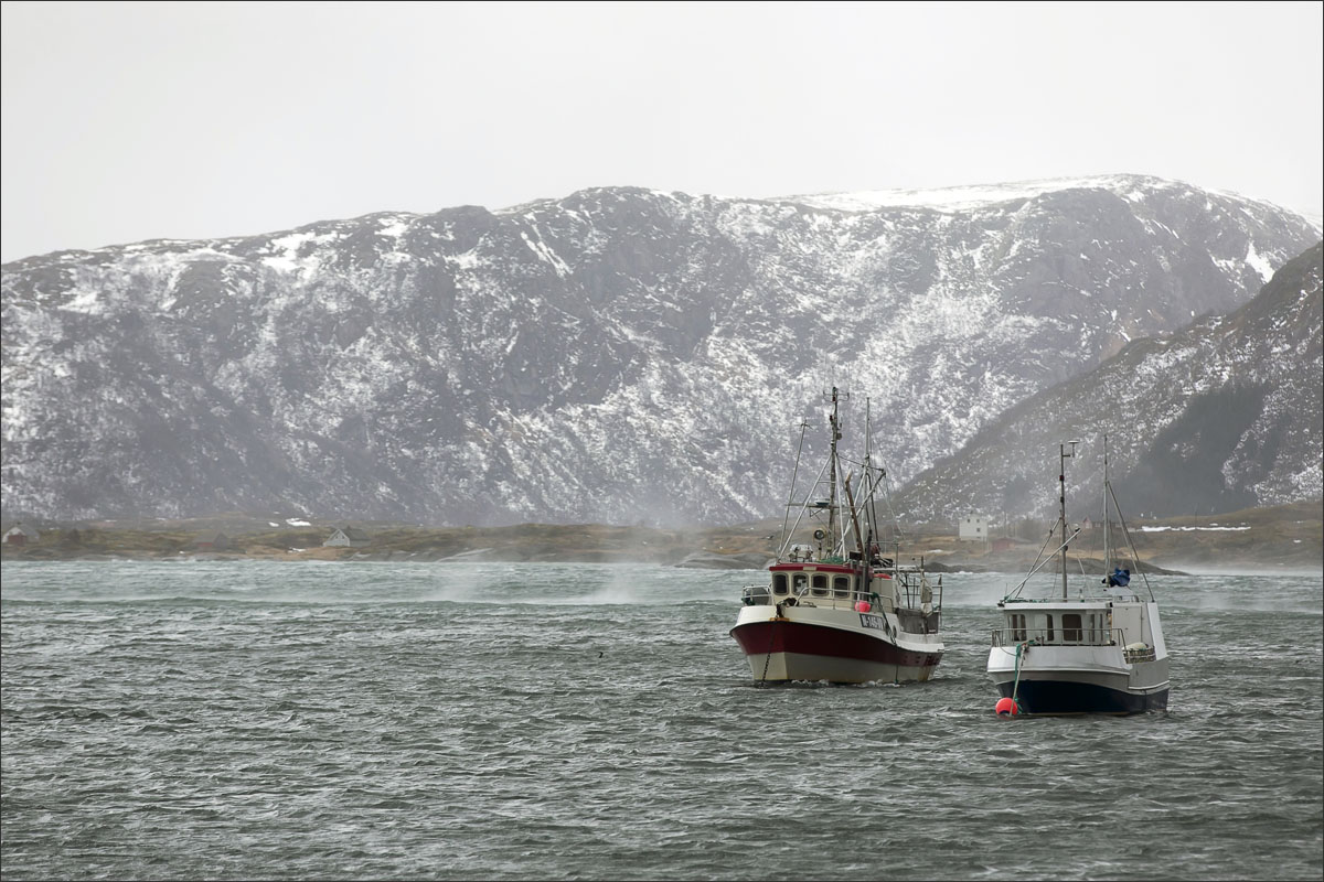 lofoten