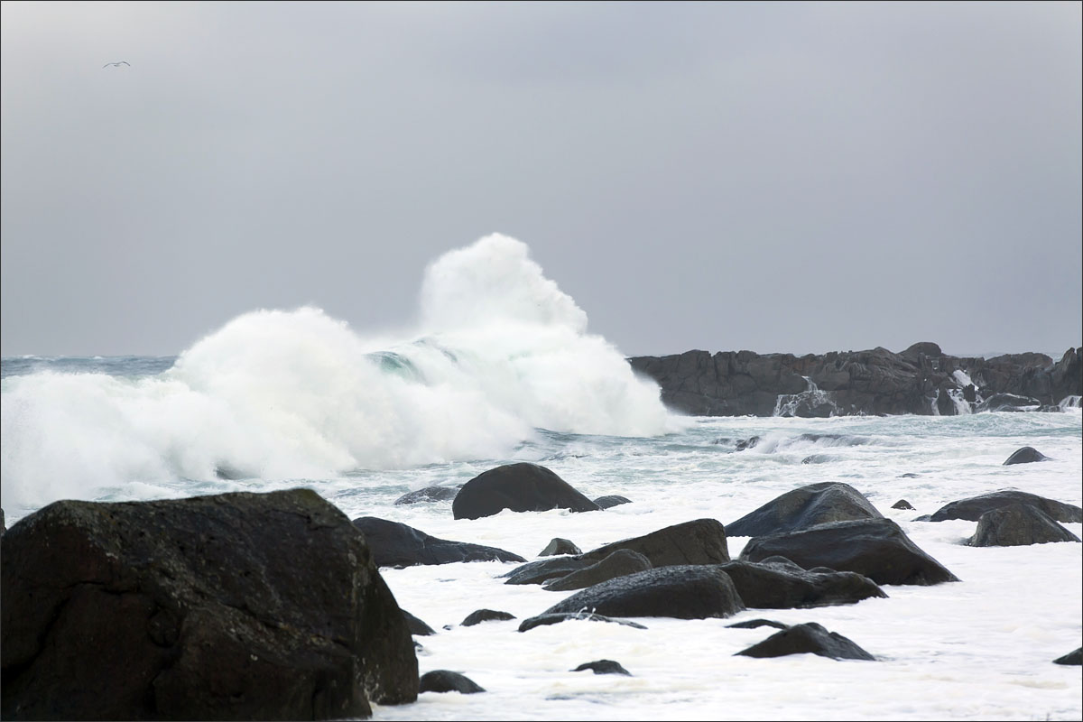 lofoten