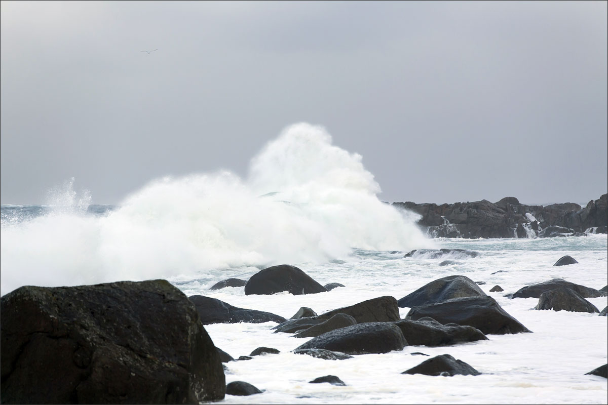 lofoten