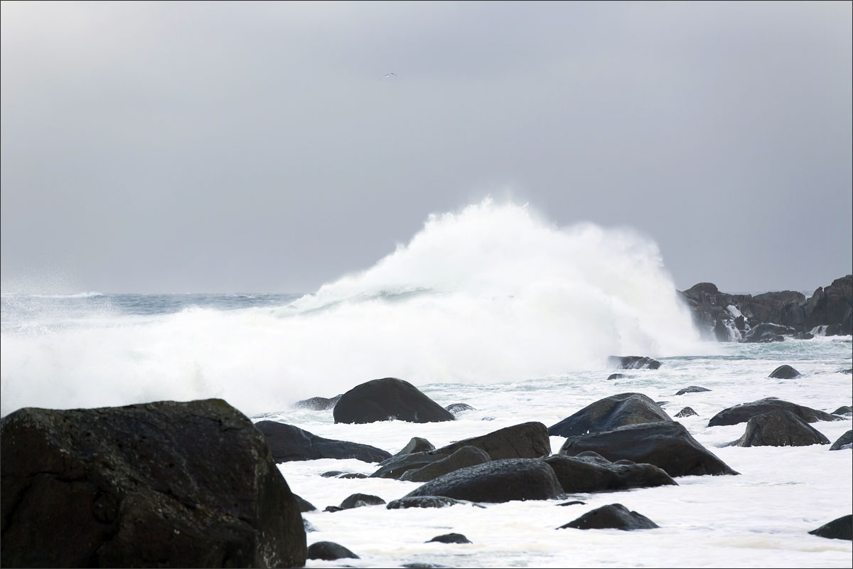 lofoten