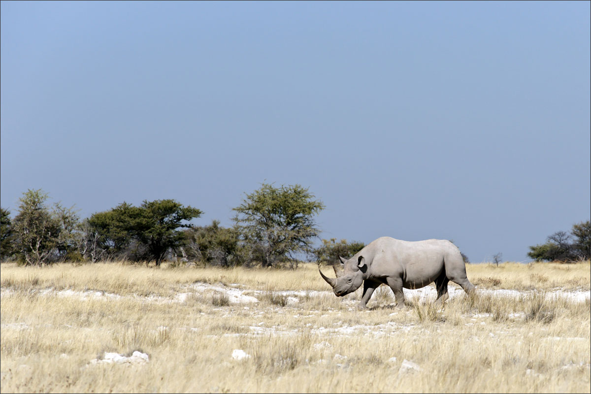 namibie