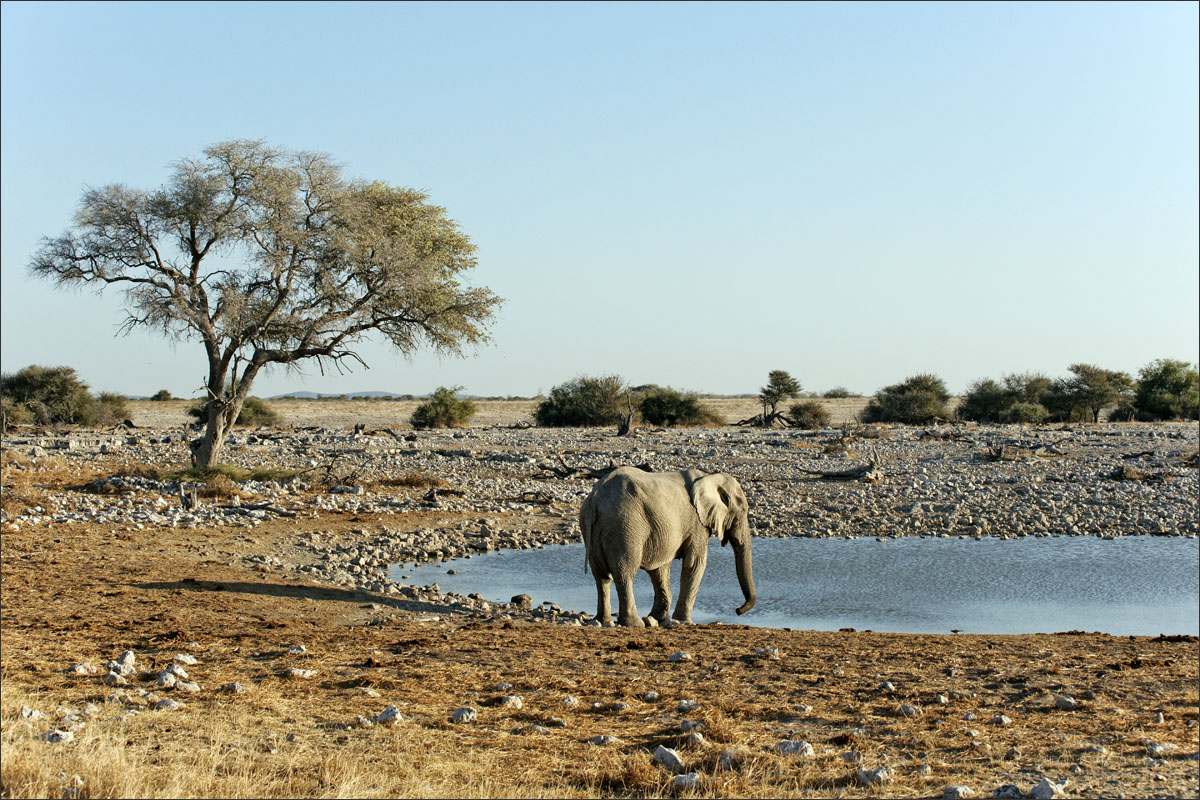 namibie