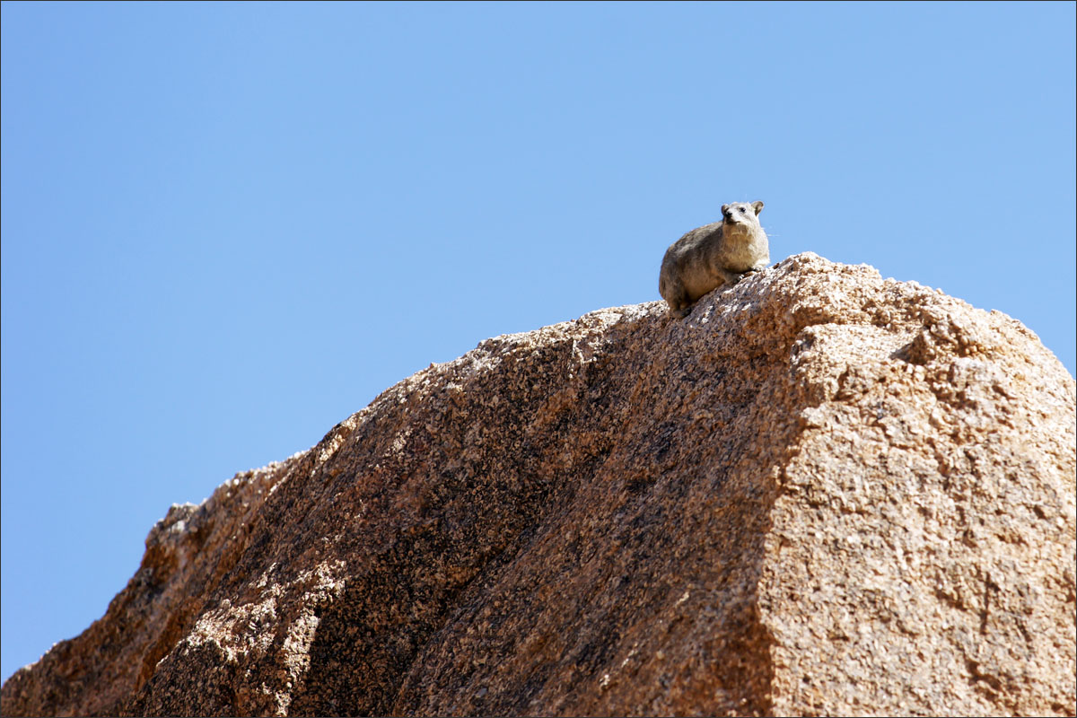 namibie