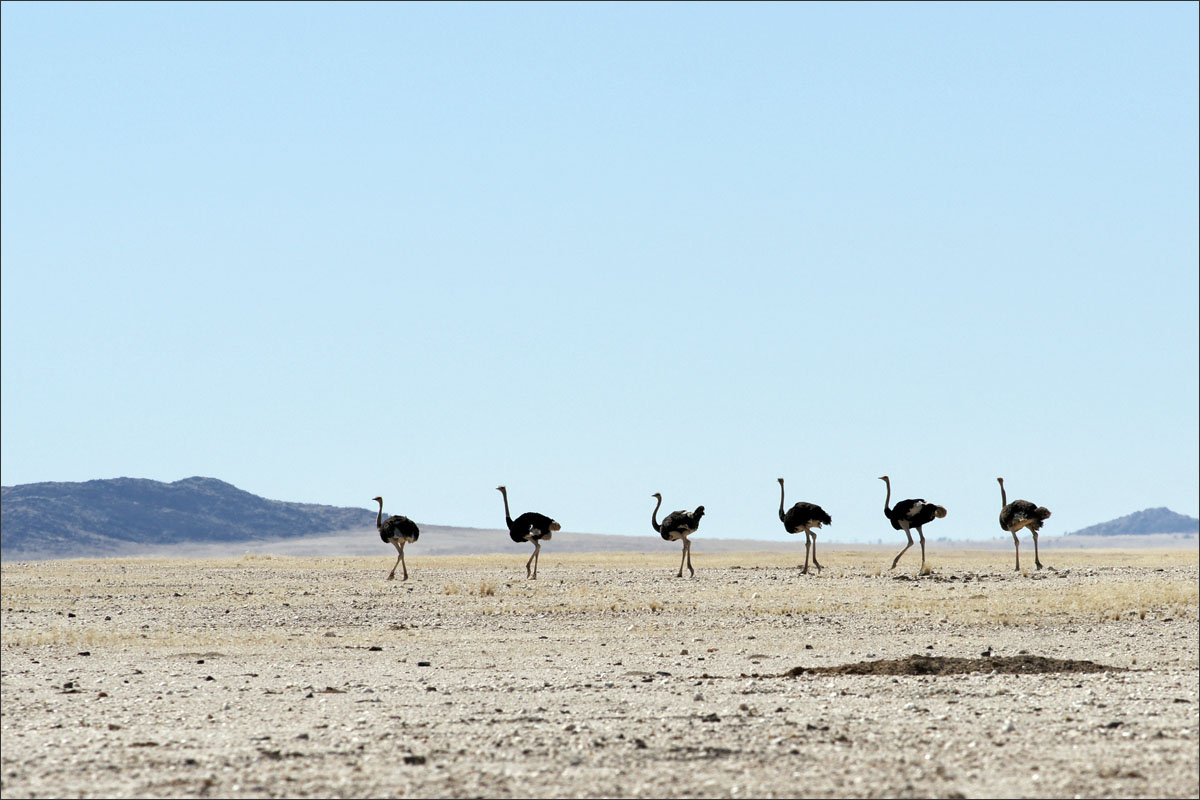 namibie