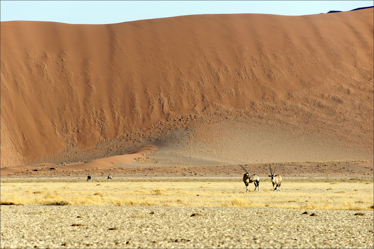 namibie