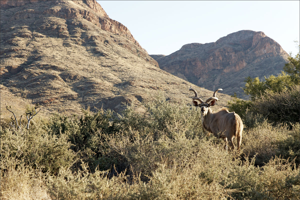 namibie