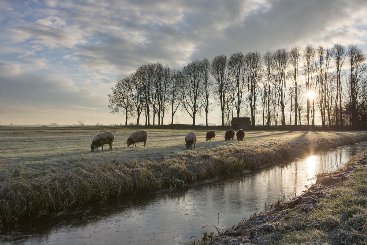 nederland