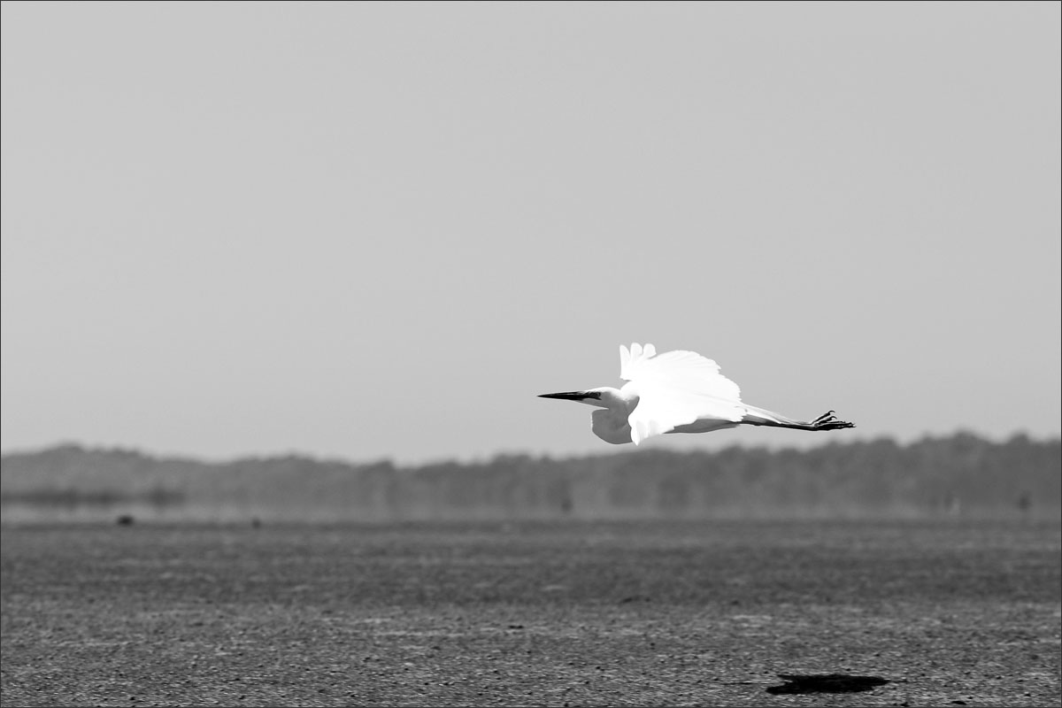 nieuw-zeeland