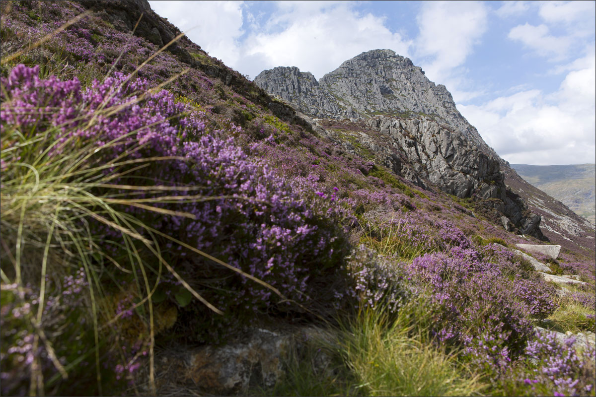 tryfan wales