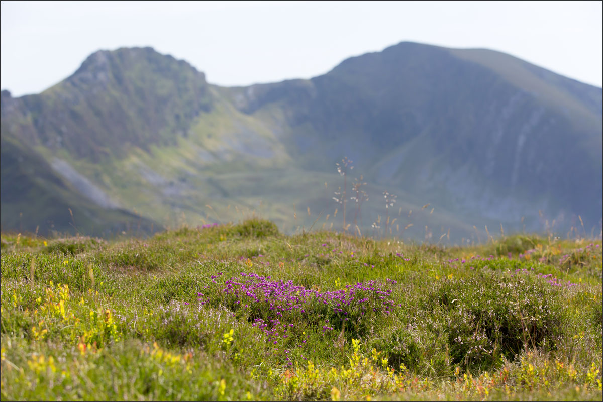 Nationaal park Snowdonia