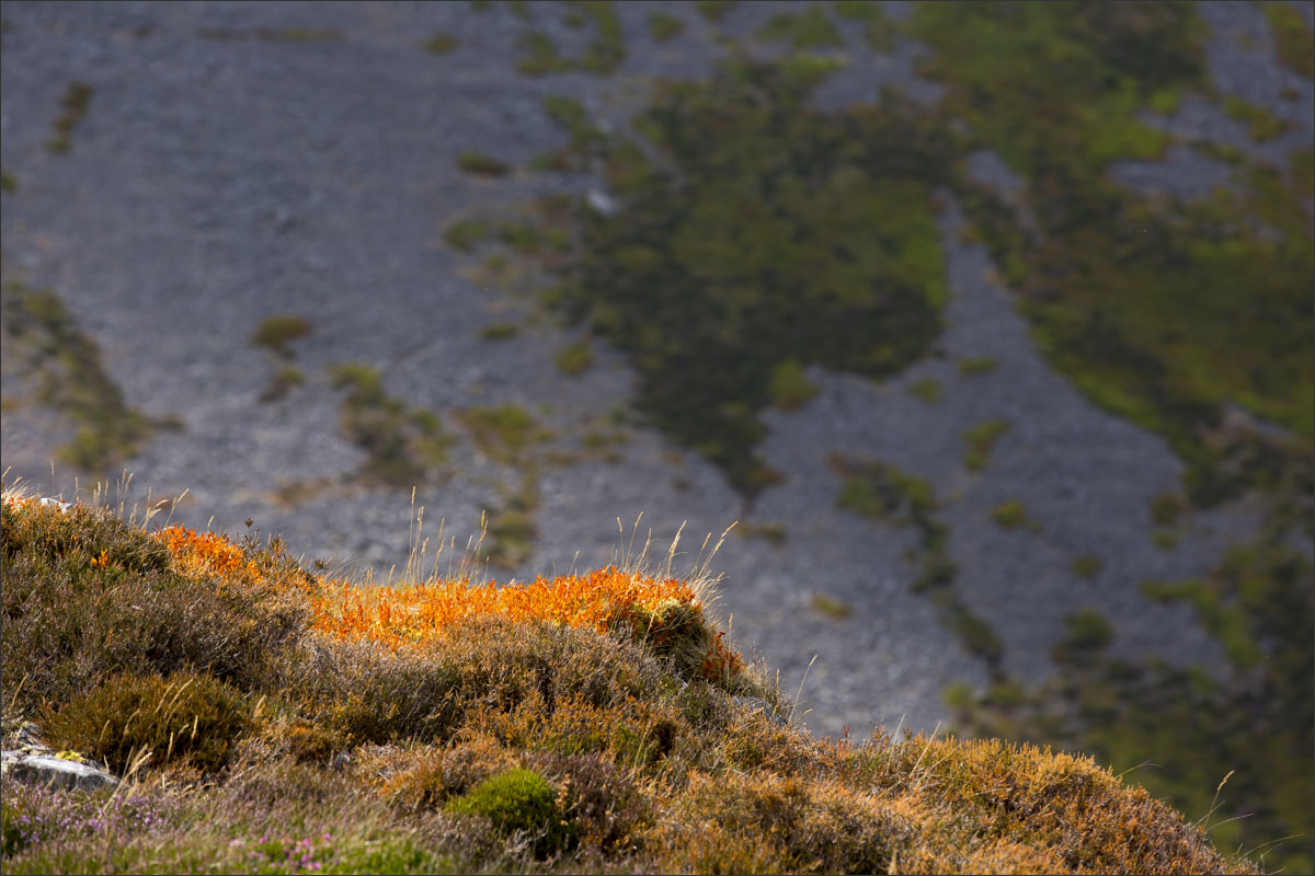 Nationaal park Snowdonia