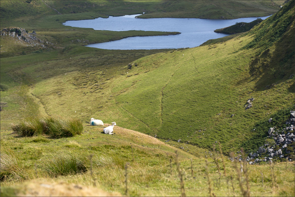 Nationaal park Snowdonia