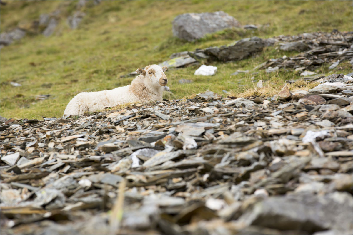 Snowdonia Nationaal Park